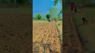 Shaam bhi khoob hai #travel #mountains #shaam #songs #kisan #desi #valley #viral #किसान #hilly #hill