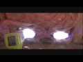Solar heater RESULTS! - Backyard Mechanic DIY