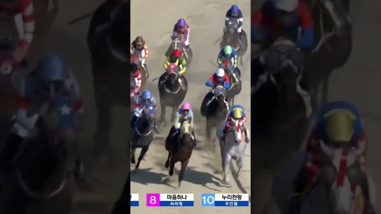 5.2배단승8번적중