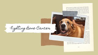 How We're Fighting Our Fishing Dog's Bone Cancer (Osteosarcoma)  It's Been a Year!