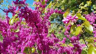 CameraTalk: Arboretum Wageningen