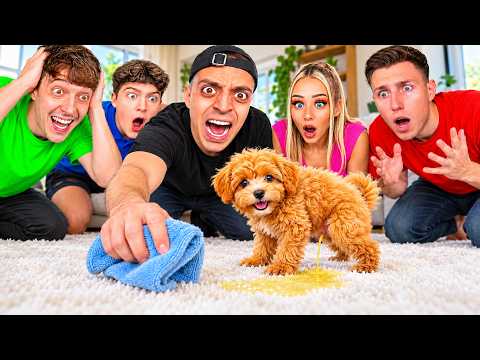 our BABY DOG HUGO peed on the FLOOR in front of ALL THE YOUTUBERS... 😭