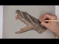 Special Rattlesnake Portrait Drawing! Thanks for 100,000 subs!