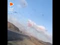 السعودية الجراد يهاجم منطقة حفار غرب الباحة