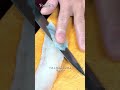 味がない💥なんて言わせない😡【天然トラフグ】熟成から生まれる旨味…知らなきゃ損です⚡#japan #shorts #sashimi