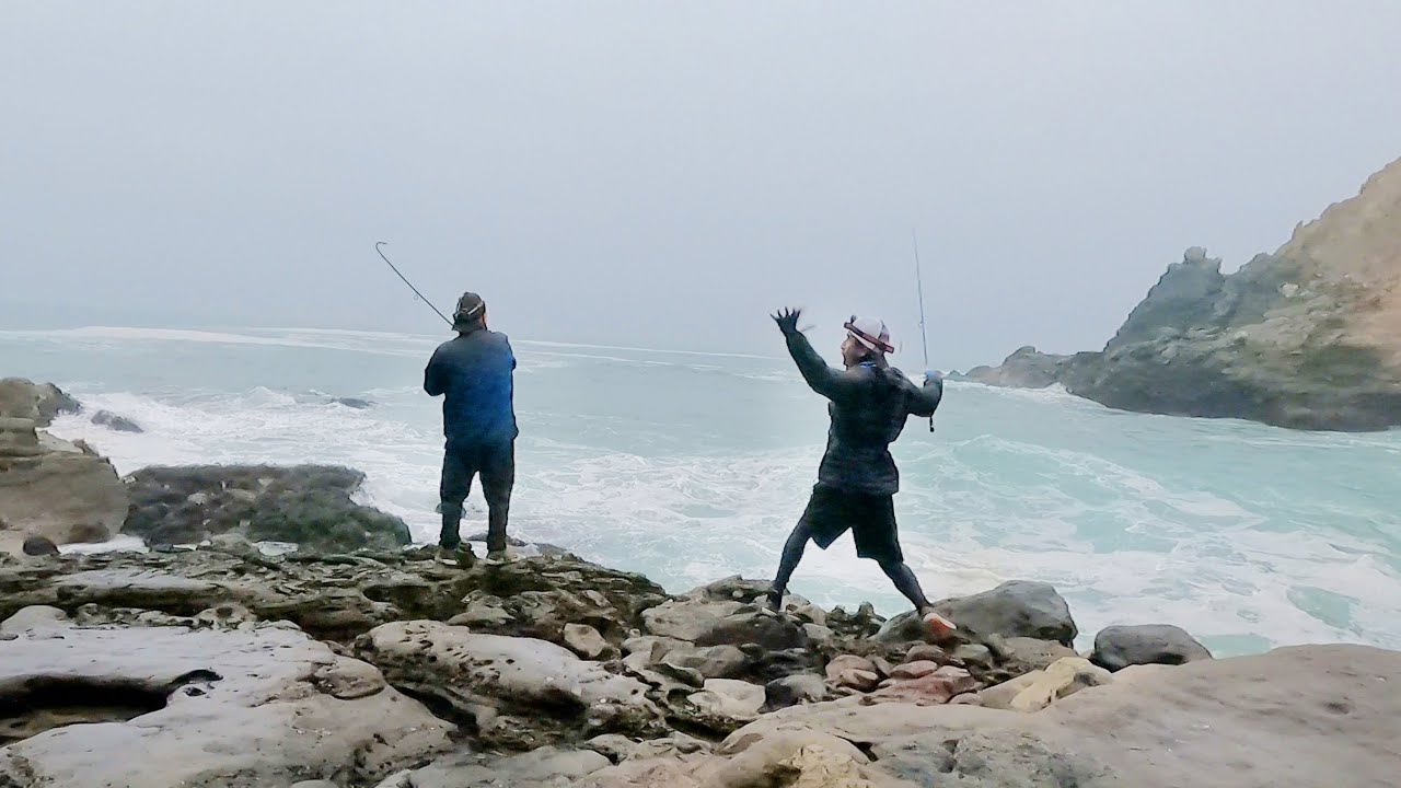 Encontraron cardumen de corvina en la madrugada.