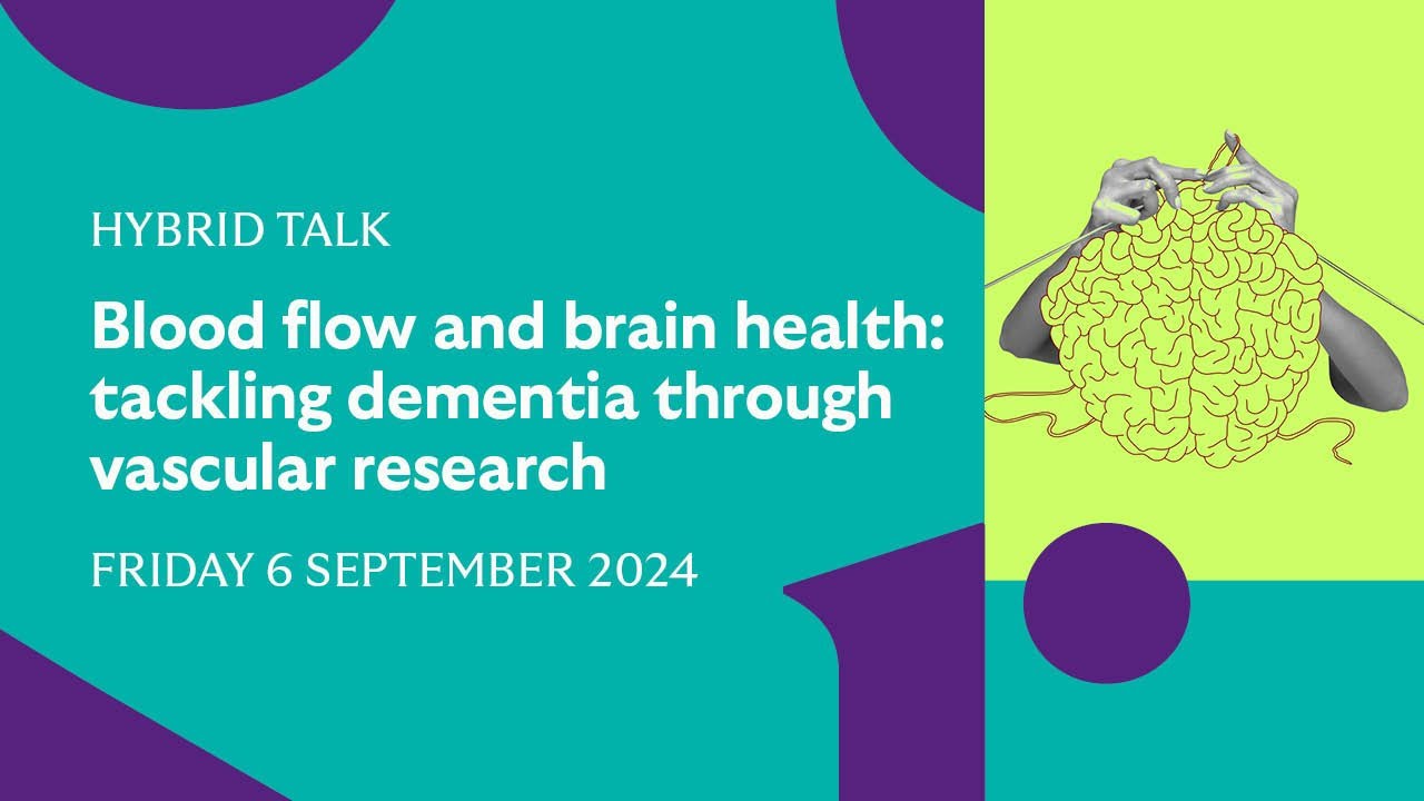 Blood flow and brain health: tackling dementia through vascular ...