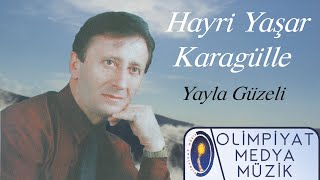 Hayri Yaşar Karagülle - Yayla Güzeli Resimi