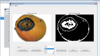 Back Propagation Neural Network Matlab Code Projects BPNN