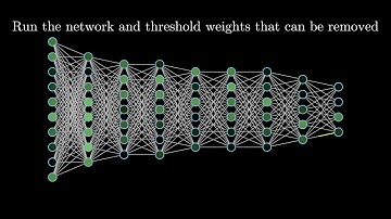Sparsity Visualization
