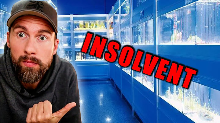 The LARGEST PET STORE in the WORLD is INSOLVENT! Robert Marc Lehmann reacts to Zoo Zajac