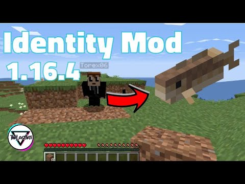 Identity - Minecraft Mods - CurseForge