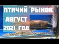 Птичий рынок август!!!