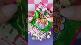 Download Mp3 Unboxing Puppy in My Pocket Series 2! 🐾✨| ASMR No Talking! #asmrunboxing #collectibletoys #blindbag Gudang lagu Download Mp3 Unboxing Puppy in My Pocket Series 2! 🐾✨| ASMR No Talking! #asmrunboxing #collectibletoys #blindbag