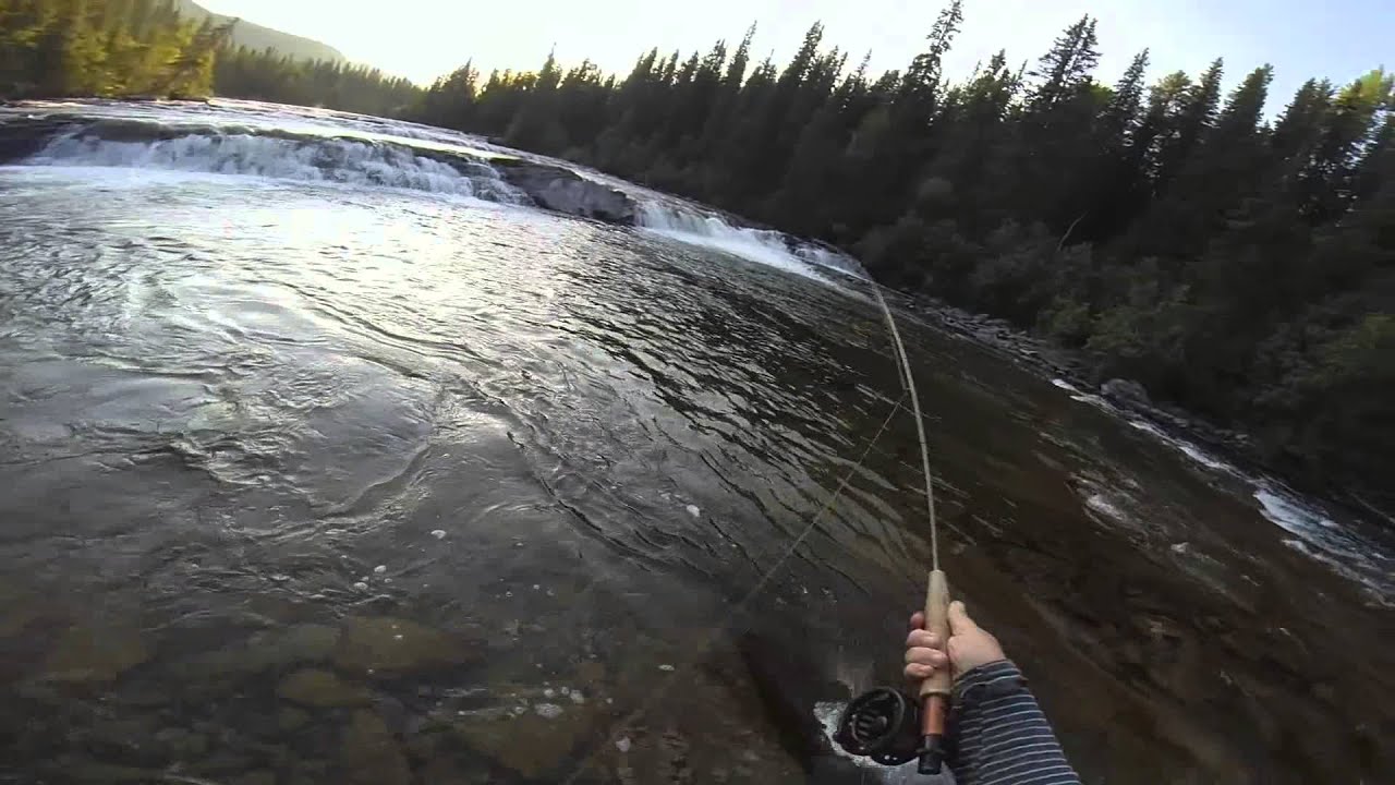 Fly Fishing Sweden 2014 YouTube