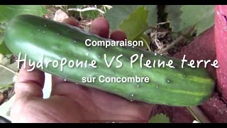 Différence entre la culture hydroponique et l'aéroponie