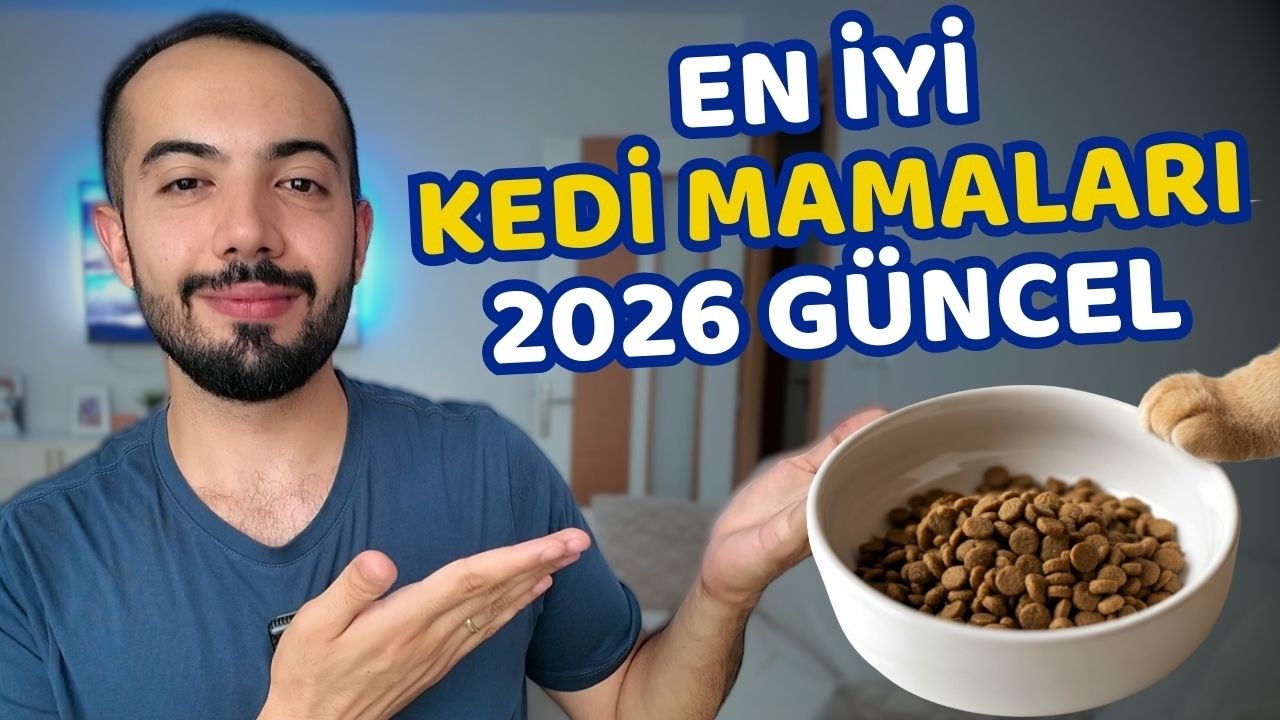 En İyi Kedi Mamaları (2026 Güncel Liste)