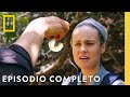 Celebridad en las Selvas de Panamá | Salvajamente Famosos | Nat Geo en Español