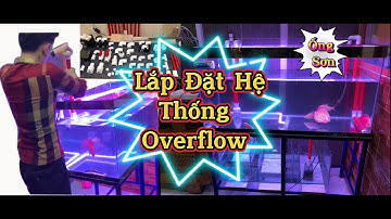 Overflow / ThôngNguyễn / Lắp Đặt Bộ Hút Đáy Xả Lọc Tràn Dưới / Hồ Không Cần Khoan Đáy / Ống Sơn .