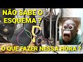 COMO LIGAR O CAPACITOR NO COMPRESSOR SEM ESQUEMA ELÉTRICO.