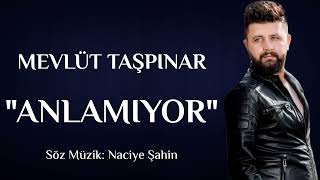 Anlamıyor Allahım - Mevlüt Taşpinar Resimi