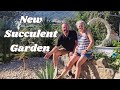 Our Homestead Garden Transformation / 171