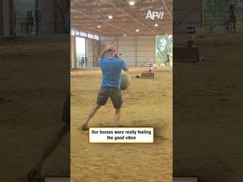 Our horses were really feeling the good vibes