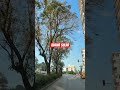 Adana istasyon civarı sular