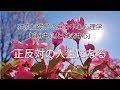 石原加受子　自分中心心理学 「自分中心」と「他者中心」正反対の人生になる