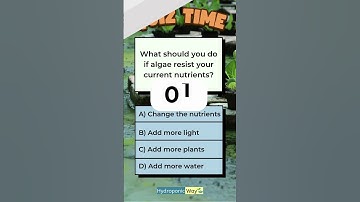 Handling Resistant Algae in Hydroponics 🧴 #hydroponicway #hydroponics #shorts #quiz #quiztime