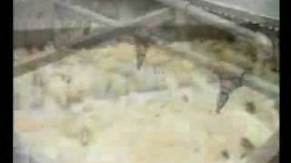 Potato Chips Step #3 - Sorter