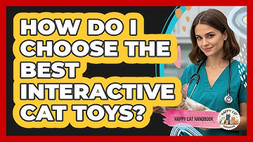 How Do I Choose The Best Interactive Cat Toys? - Happy Cat Handbook