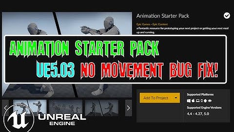 UE5 - Animation Starter Pack No Movement Bug Fix