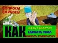 Как сделать собаке укол, как дать таблетку и измерить температуру