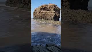 Secret Door? Or What Is It?