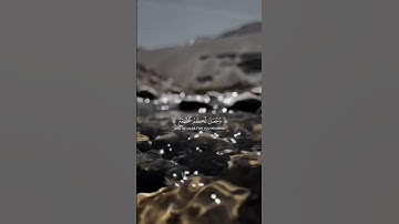 وَاللَّهُ أَخْرَجَكُم مِّنْ بُطُونِ أُمَّهُتِكُمْ لَا تَعْلَمُونَ شَيْئًا | سورة النحل |ياسر الدوسري