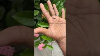 ____p1118727009&&62&&681&&727
