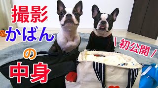 タレント犬のバッグの中身紹介♪お外で写真を撮る便利グッズを紹介します！【what's in my bag?】