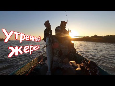 АСТРАХАНСКАЯ РЫБАЛКА В ДЕЛЬТЕ ВОЛГИ. Село Мумра, октябрь 2022 года. Часть шестая