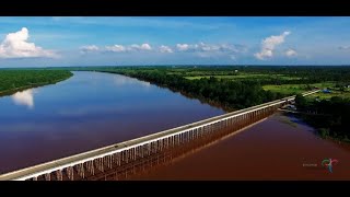 Kelapa Indragiri Hilir