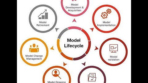 Model Risk Management Using Python