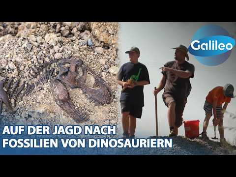 Indiana-Jones-Trio: Auf der