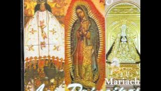 Mi virgen bella-amor eterno. música de juan gabriel. Mariachi los principes(OAXACA)