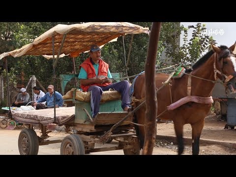 هكذا يعاني سكان سيدي الطيبي مع النقل