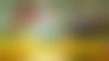 Joaum Teaches S1mple How to Really Play CS GO