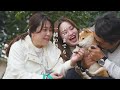 無一物シリーズ コンセプトムービー(ワンちゃん)