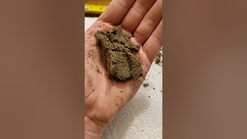 GeoTech Lab 1 Visual Soil Description and Identification