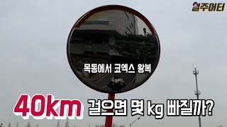 [40만 기념] 40km를 걸어봤습니다.