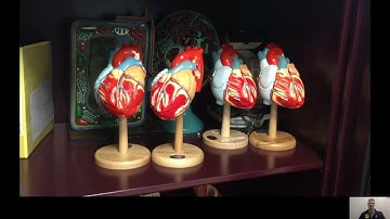 Tour of the STEM Lab