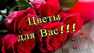 ЦВЕТЫ ДЛЯ ВАС! 🌷🌷🌷 МУЗЫКАЛЬНАЯ ОТКРЫТКА.🌸🌸🌸